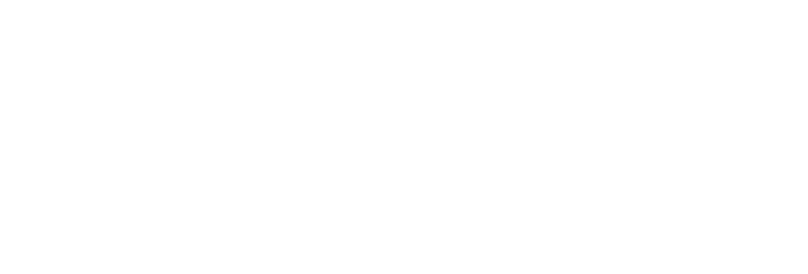 Northeastern Braces Logo